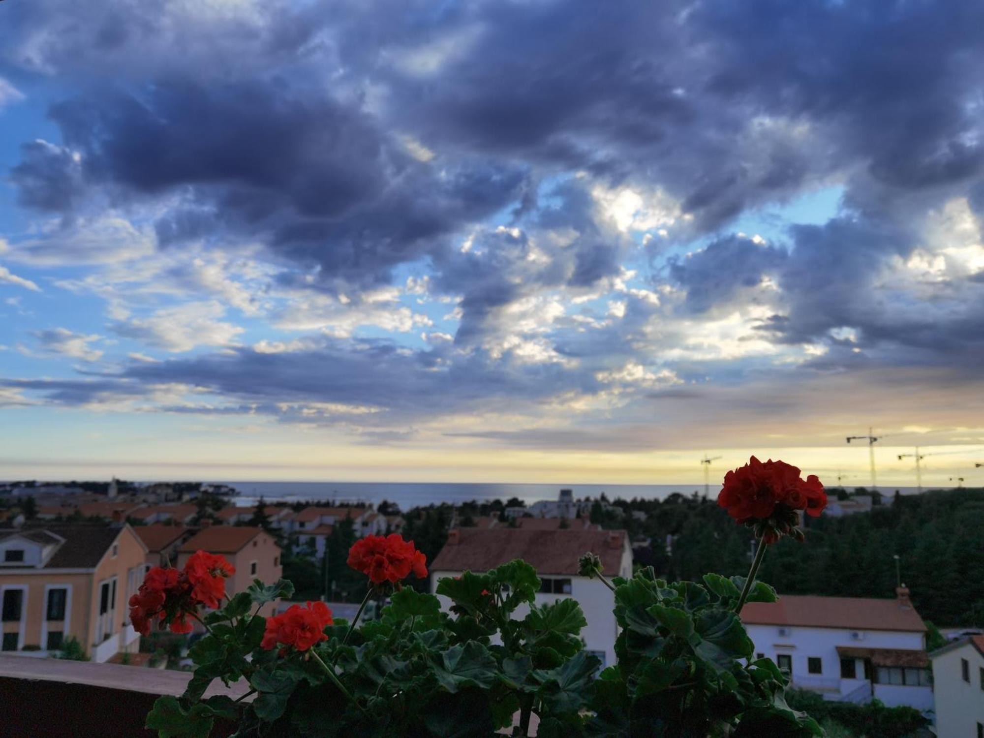 Apartment Diana Poreč Buitenkant foto